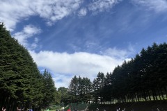 S__64782433_0